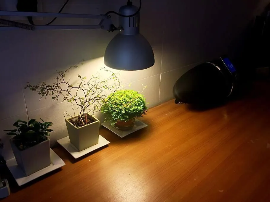 Hotel 香港金門賓館 0*, Hongkong China